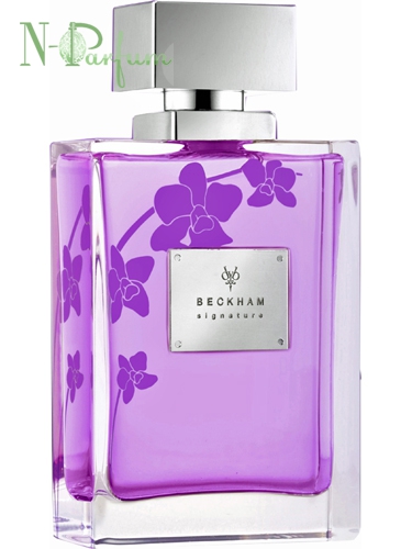 victoria beckham purple perfume