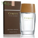 Cereus Cereus №4